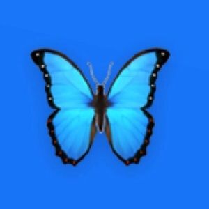 Meet your Posher, Taleah